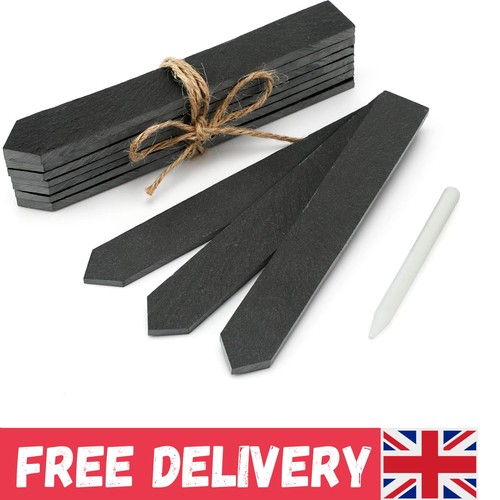 10pcs slate plant - 10pcs,