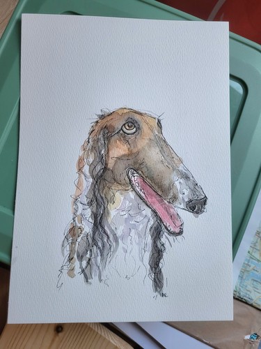Borzoi hound pen - hound, and
