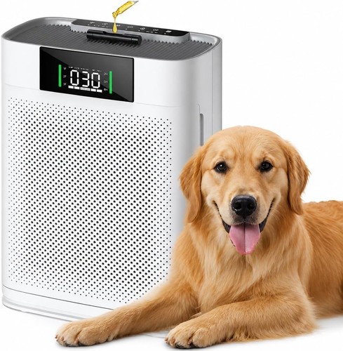 Air purifier for - air,