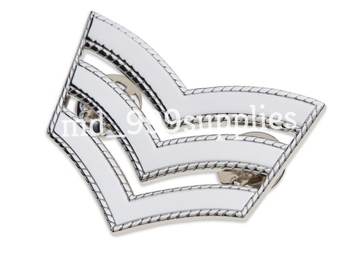 Sergeant roped - 2,