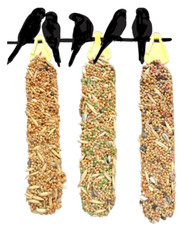 Pet Budgie Aviary Caged Bird Honey Kiwi Fruit Red Berry Fruity Seed Stick Treat