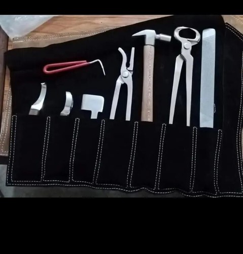 Professional farriers horse - professional,