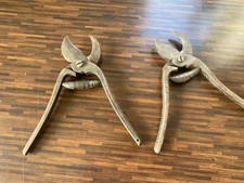 2 x Vintage Parrot Beak Garden Tools Secateurs Pruner Antique Shears Tool