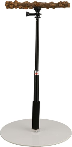 Adjustable bird training - training, perch