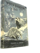 When Badgers Wake (Eileen A