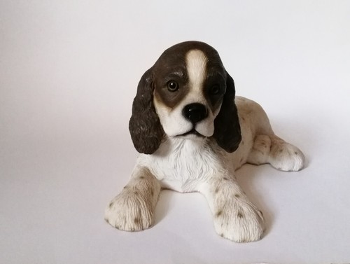 Laying down springer spaniel - down,