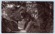 Cockington Lane TORQUAY