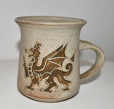 Tregaron Studio Pottery Mug-