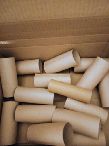 Empty cardboard toilet - 50,