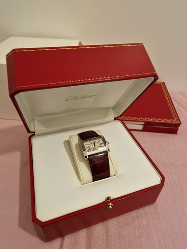 Cartier tank divan stainless - tank,