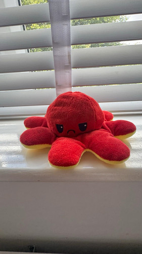 Reversible mood octopus - reversible,