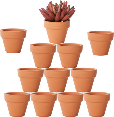 Inch tiny terracotta - inch, pots