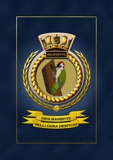 HMS WARSPITE FRAMED SHIPS