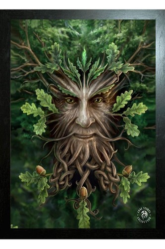 Black framed anne stokes art - black,