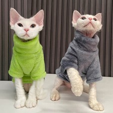 Hairless cat pet dog - pet, sweater