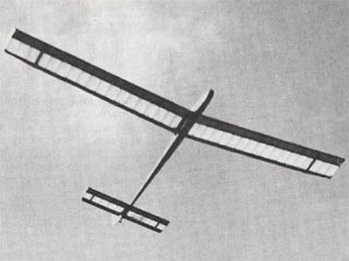 Excelsus glider wingspan - excelsus,