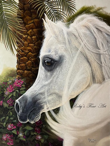 Limited edition arabian - edition,