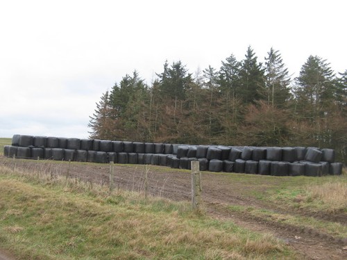 Photo 6x4 silage - photo, near