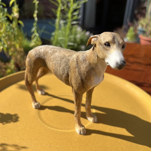 Vintage leonardo greyhound dog - vintage,