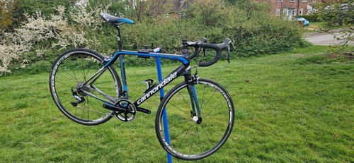 Cannondale synapse modulus - synapse,