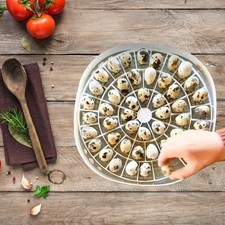 Small Quail Bird Egg Tray Eggs