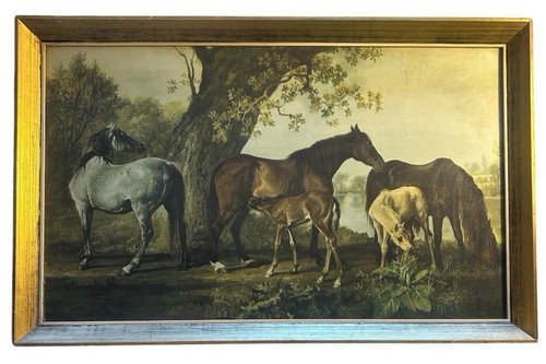 Antique george stubbs - antique,