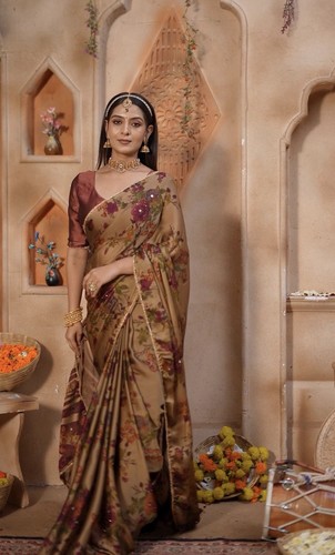 Indian traditional saree - indian,