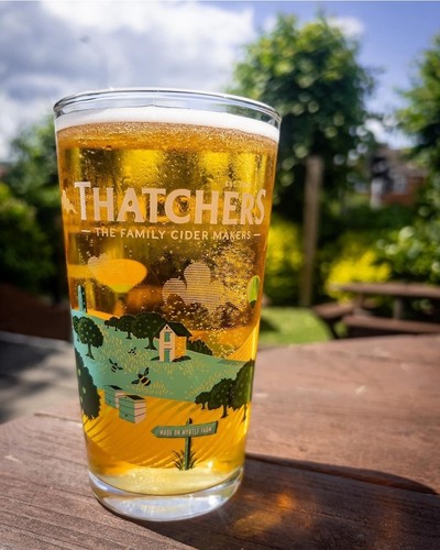 Thatchers myrtle pint glass - thatchers,
