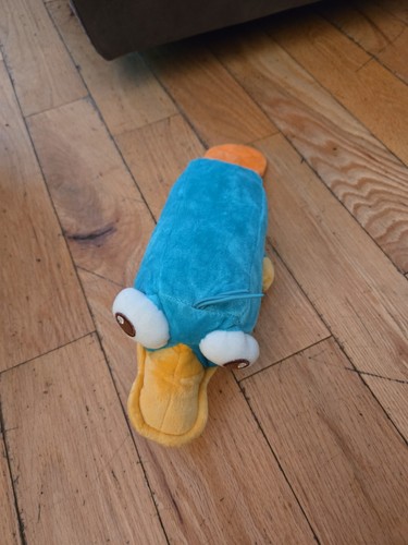 Disney store plush perry - plush,