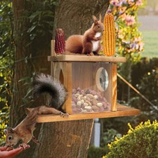 Wildlife Garden Squirrel Feeder House Box with Feeding Platform & Lift Up Lid UK