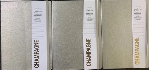 Paperchase agenzio notebooks - agenzio,