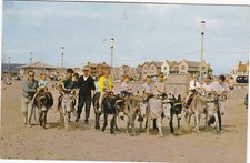 Donkeys On The Beach, WESTON
