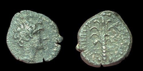 Ancient greek coin seleucid - ancient,