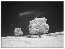 Converted Infrared IR Full