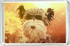 AA Dog Fridge Magnet wearing