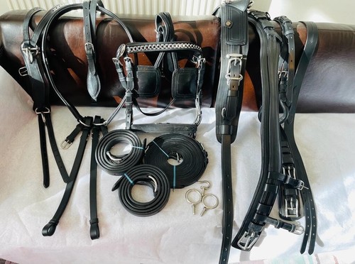 Horse driving harness leather - horse,