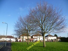 Photo 6x4 Green space next to Hudson Road Bexley At daffodil time this sm c2014