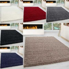 Thick Large Shaggy Rugs Non