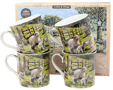 Collie & Sheep Dog 4 Mugs Set