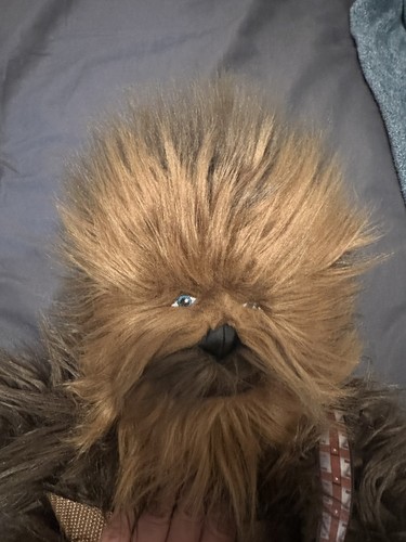 Disney park chewbacca - disney, park’s