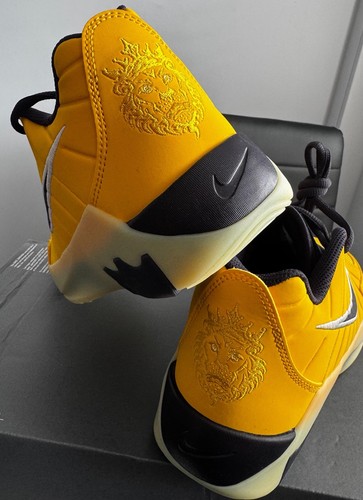 Nike lebron witness gs - witness, ix