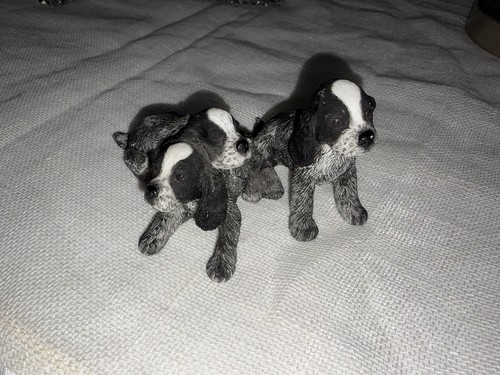 Spaniel beagle puppy trio - puppy,