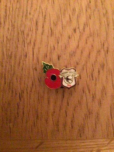 Poppy small cardiff city - cardiff,
