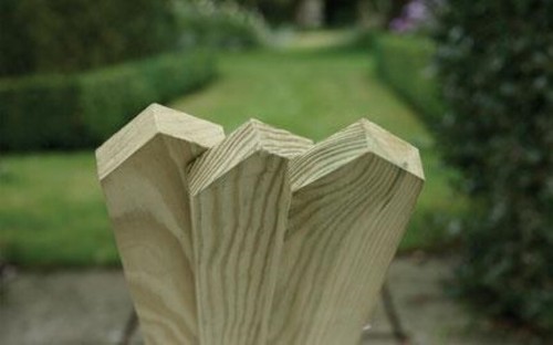 6x70x19mm pale pointed - pale,