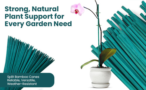 45cm garden canes - 18", flower
