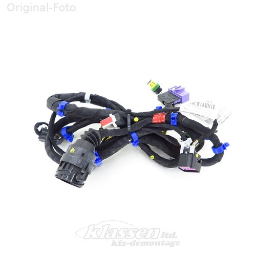 Wiring harness door front left - wiring,