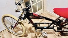 2004 Schwinn Stingray Adults