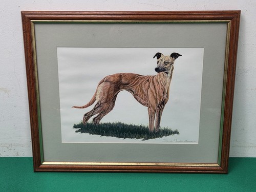 Framed brindle sighthound dog - brindle,