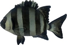 BH8513 HANSA Plush Stonefish