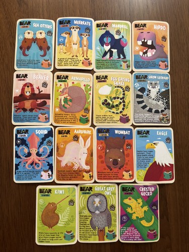 Bear cards 15 different - cards,